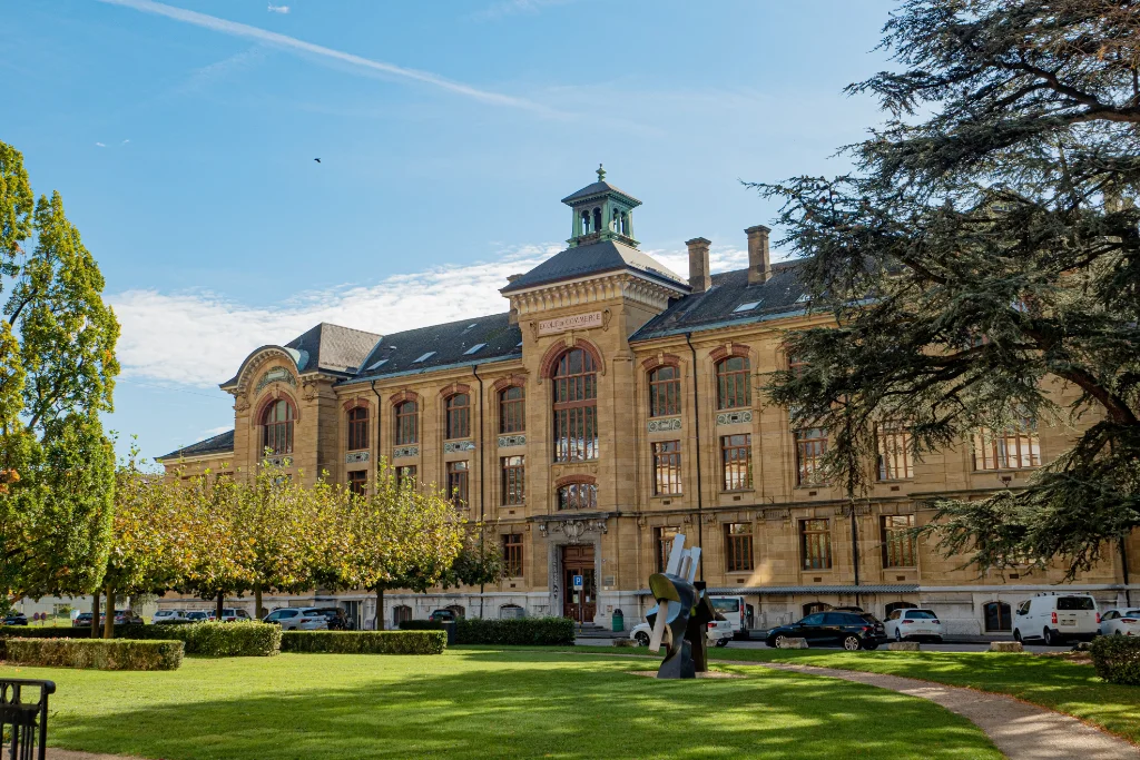 Step-by-step education